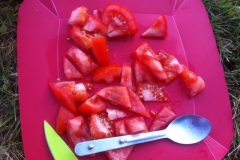 0079 Tomatoes Messac