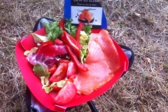 0102 smoked salmon salad