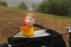 0019 Brian the snail 19