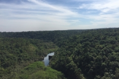 3315 10-5-18  view