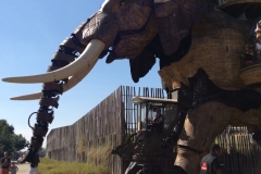 006 Mechanical Elephant