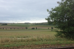 0296  19-8 view