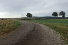 0299  19-8 panorama