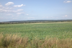 0363 22-8 view