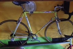0399 24-8 bike