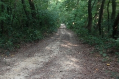 0435 25-8 path