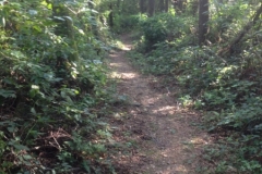 0436 25-8 path