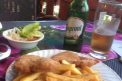 0441 25-8 dinner