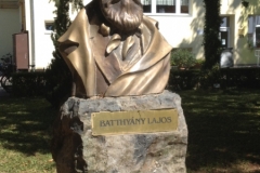 0478 29-8 bust