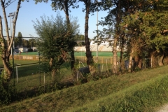 0533 31-8 pitch?