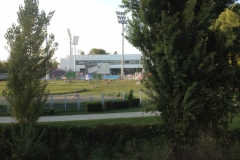 0535 31-8 pitch?