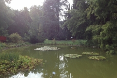0549 1-9 pond