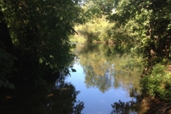 0646 5-9 river