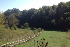 0651 5-9 field
