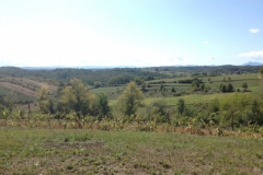 0655 5-9 view