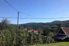 0662 5-9 view