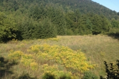 0663 5-9 view