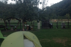 0669 5-9 tent