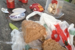 0673 5-9 food