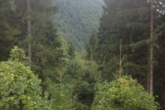 0701 6-9 view