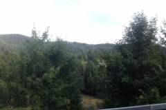 0711 6-9 view