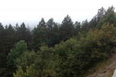 0738 8-9 panorama