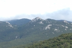 0754 8-9 view