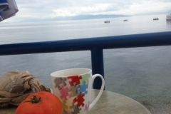 0790 9-9 breakfast