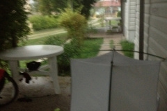 0821 11-9 garden