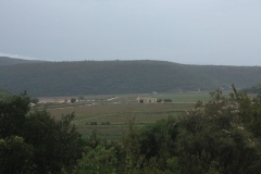 0825 11-9 view