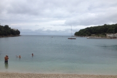 0838 11-9 swimmers