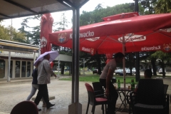 0895 16-9 cafe
