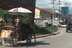 0482  27-8-19 horse carriage