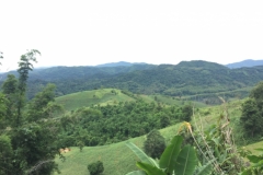 0001  9-8-19 view