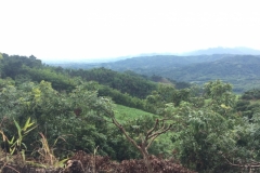 0002  9-8-19 view