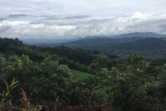 0003  9-8-19 view