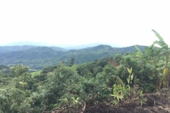 0004  9-8-19 view
