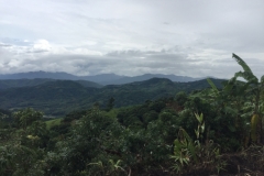 0005  9-8-19 view