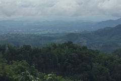 0006  9-8-19 view