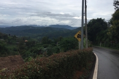 0007  9-8-19 view