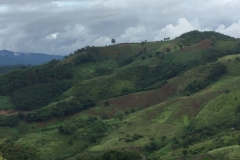 0009  9-8-19 view