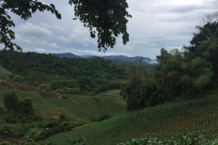 0011  9-8-19 view