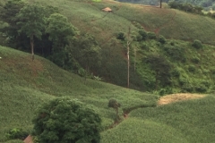 0012  9-8-19 view