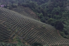 0015  9-8-19 view