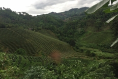 0016  9-8-19 view