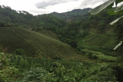 0017  9-8-19 view