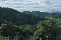 0018  9-8-19 view