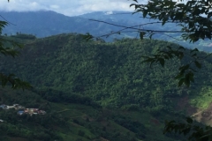 0022  9-8-19 view