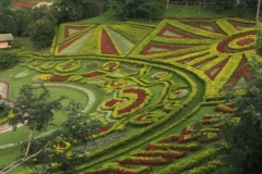 0026  9-8-19 view