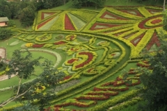 0027  9-8-19 view